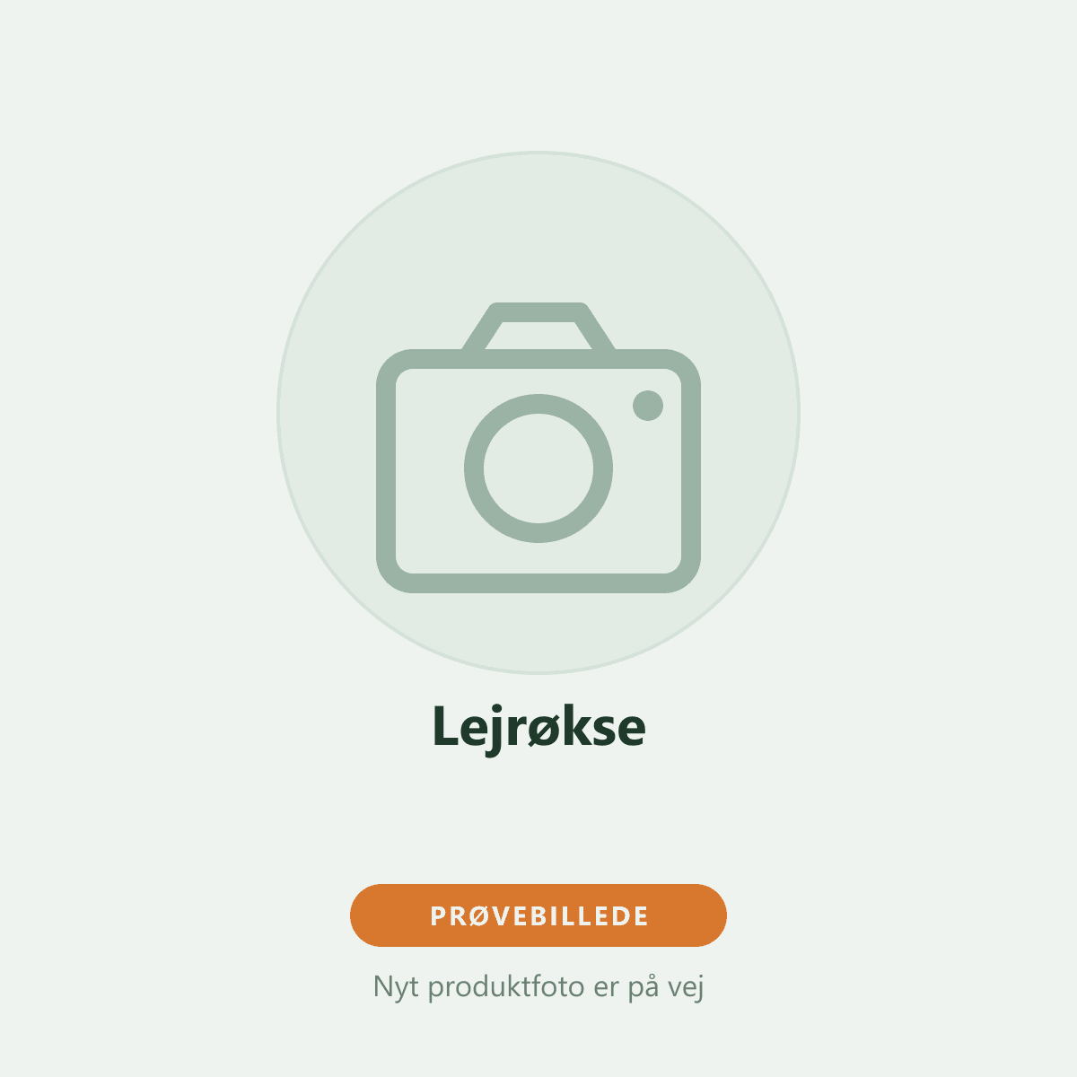 Lejrøkse