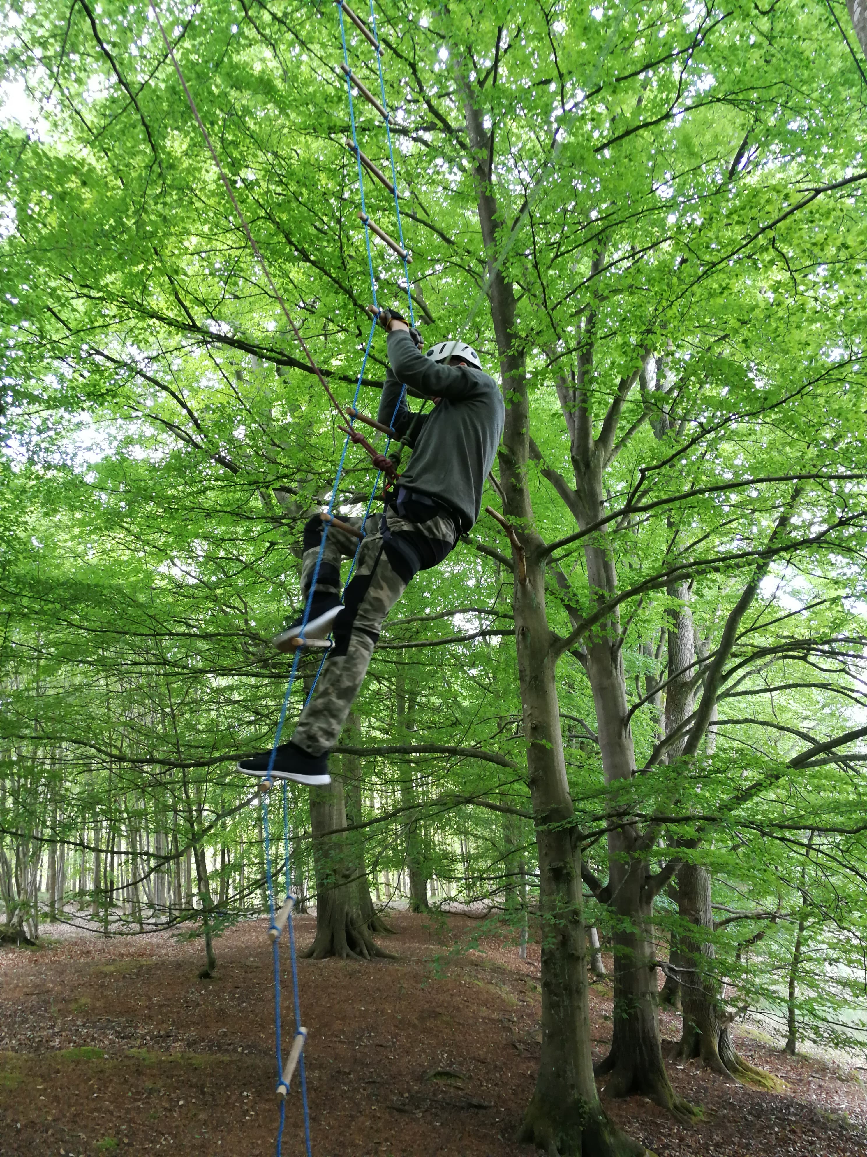Begynder i træklatring